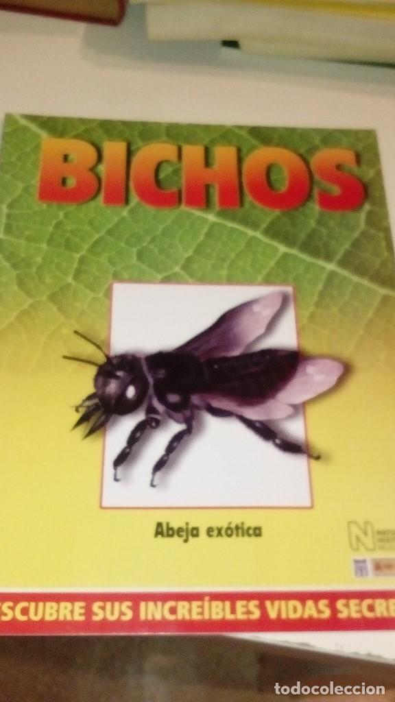 Collezionismo di Riviste e Giornali: C-G09GI FASCICULO BICHOS DE RBA CIGARRA ABEJA EXOTICA