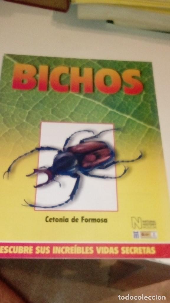 Collezionismo di Riviste e Giornali: C-G09GI FASCICULO BICHOS DE RBA CIGARRA CETONIA DE FORMOSA