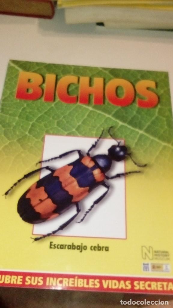 Collezionismo di Riviste e Giornali: C-G09GI FASCICULO BICHOS DE RBA CIGARRA ESCARABAJO CEBRA