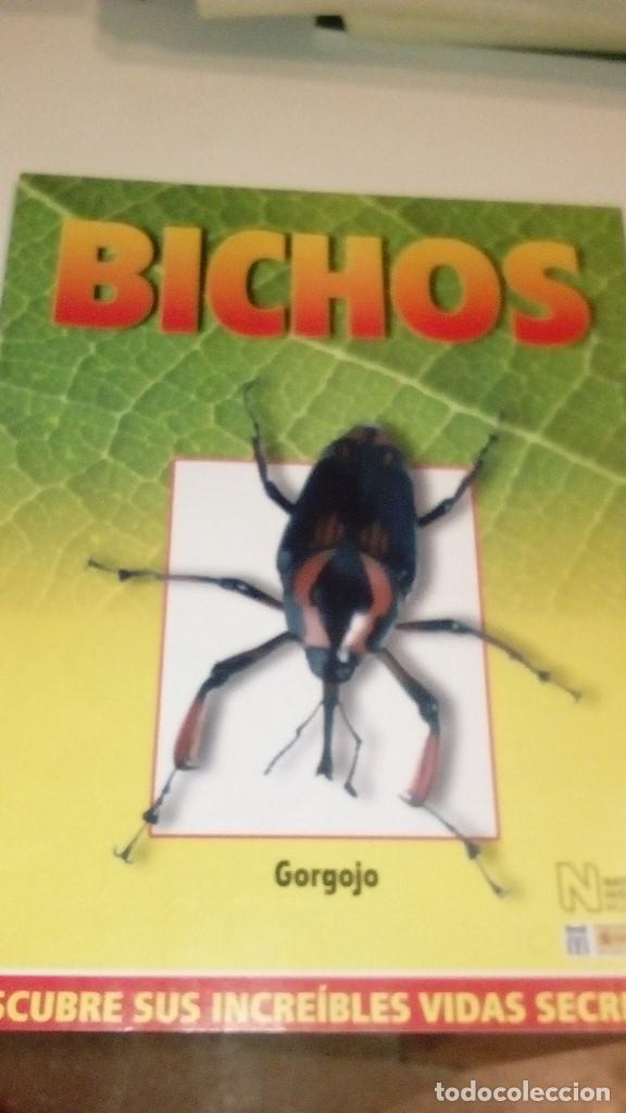 Collezionismo di Riviste e Giornali: C-G09GI FASCICULO BICHOS DE RBA CIGARRA GORGOJO