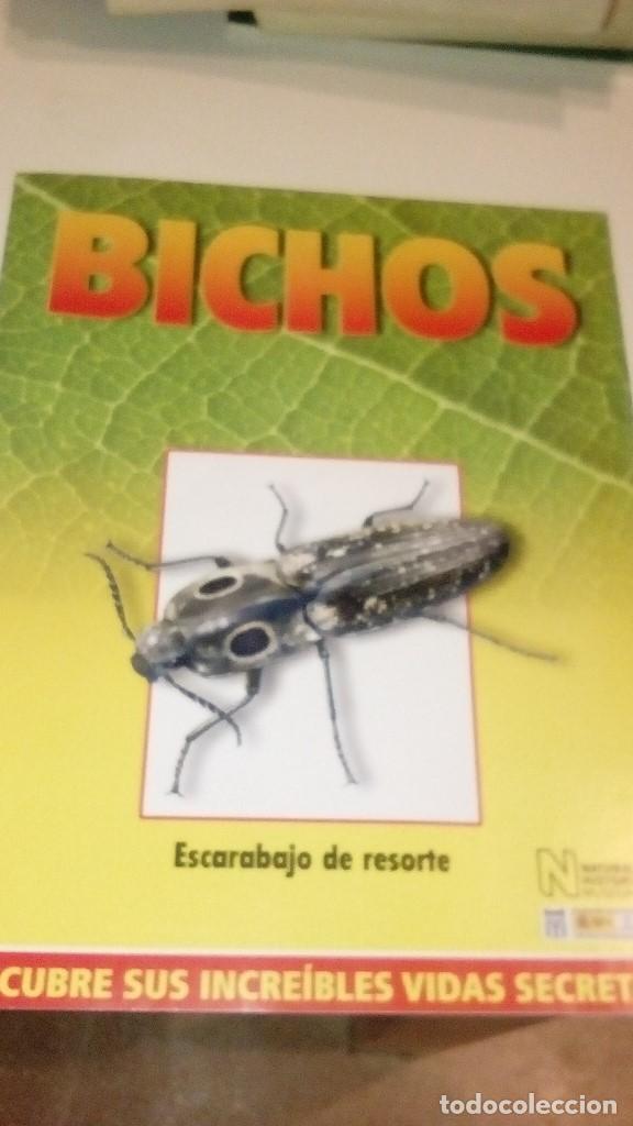 Collezionismo di Riviste e Giornali: C-G09GI FASCICULO BICHOS DE RBA ESCARABAJO DE RESORTE