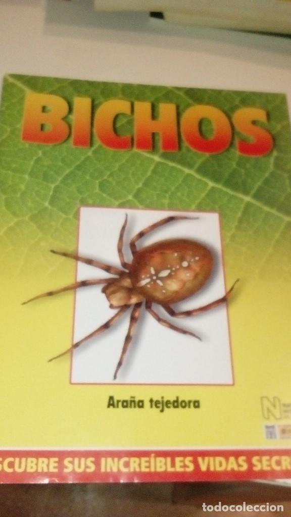 Collezionismo di Riviste e Giornali: C-G09GI FASCICULO BICHOS DE RBA ARA&Ntilde;A TEJEDORA