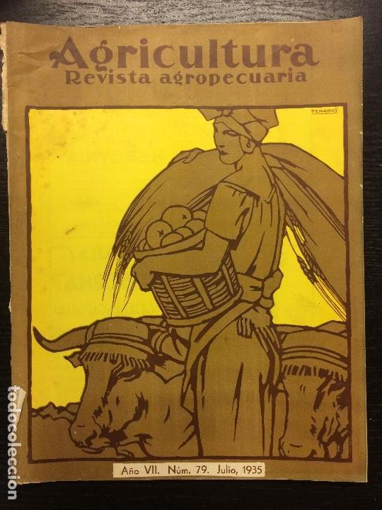 Collezionismo di Riviste e Giornali: AGRICULTURA, REVISTA AGROPECUARIA, 1935