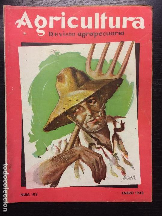 Collezionismo di Riviste e Giornali: AGRICULTURA, REVISTA AGROPECUARIA, 1948