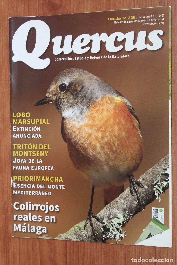 Coleccionismo de Revistas y Peri&oacute;dicos: REVISTA QUERCUS - CUADERNO 328 - JUNIO 2013 COLIRROJOS MALAGA, LOBO MARSUPIAL, TRITON MONTSENY