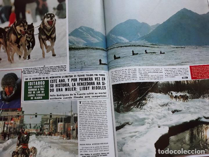 Coleccionismo de Revistas y Peri&oacute;dicos: idirarod alaska la carrera de perros a traves de la nieve