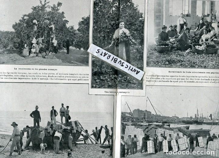 Collezionismo di Riviste e Giornali: REVISTA A&Ntilde;O 1910 EL REY EN ALMERIA RECOLECCION Y EMBARQUE DE LAS NARANJAS EN VALENCIA XIRGU GITANOS
