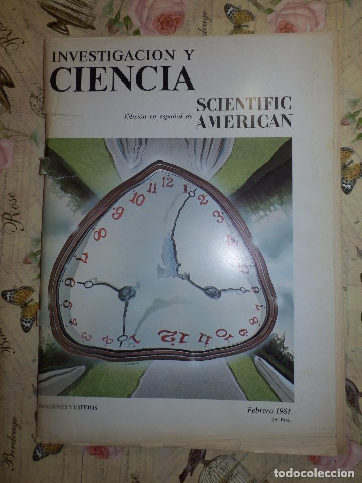 Collezionismo di Riviste e Giornali: REVISTA INVESTIGACI&Oacute;N Y CIENCIA N&ordm; 53 ED ESP. SCIENTIFIC AM&Eacute;RICAN FEBRERO 1981  - IMAGENES Y ESPEJOS