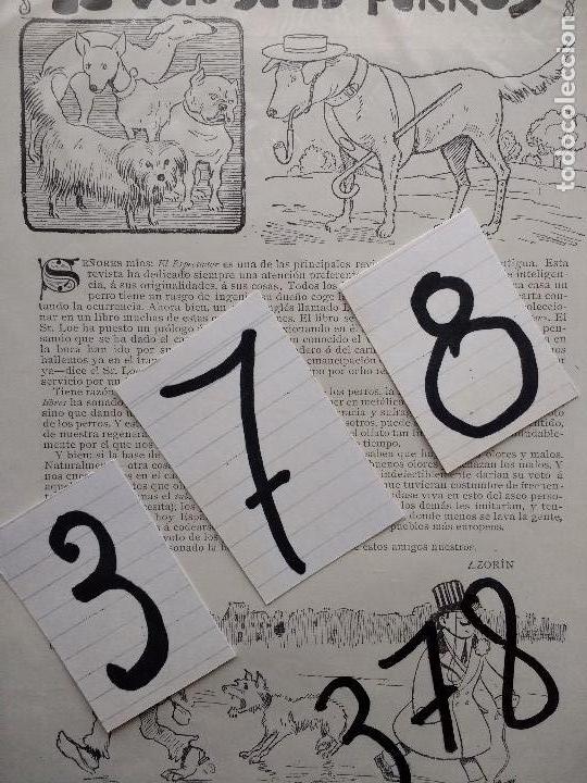Coleccionismo de Revistas y Peri&oacute;dicos: AZORIN. LITERATURA ESPA&Ntilde;OLA. HUMORISMO. EL VOTO DE LOS PERROS. DIBUJOS DE XAUDARO. 1906.