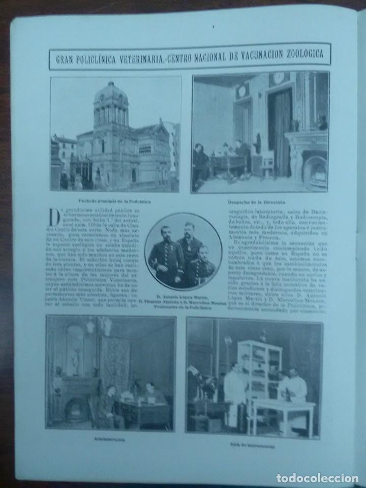 Collectionnisme de Revues et Journaux: GRAN POLICLINICA VETERINARIA CENTRO NACIONAL DE VACUNACION ZOO.ALMACENES FERNANDEZ Y HERMANOS 1905