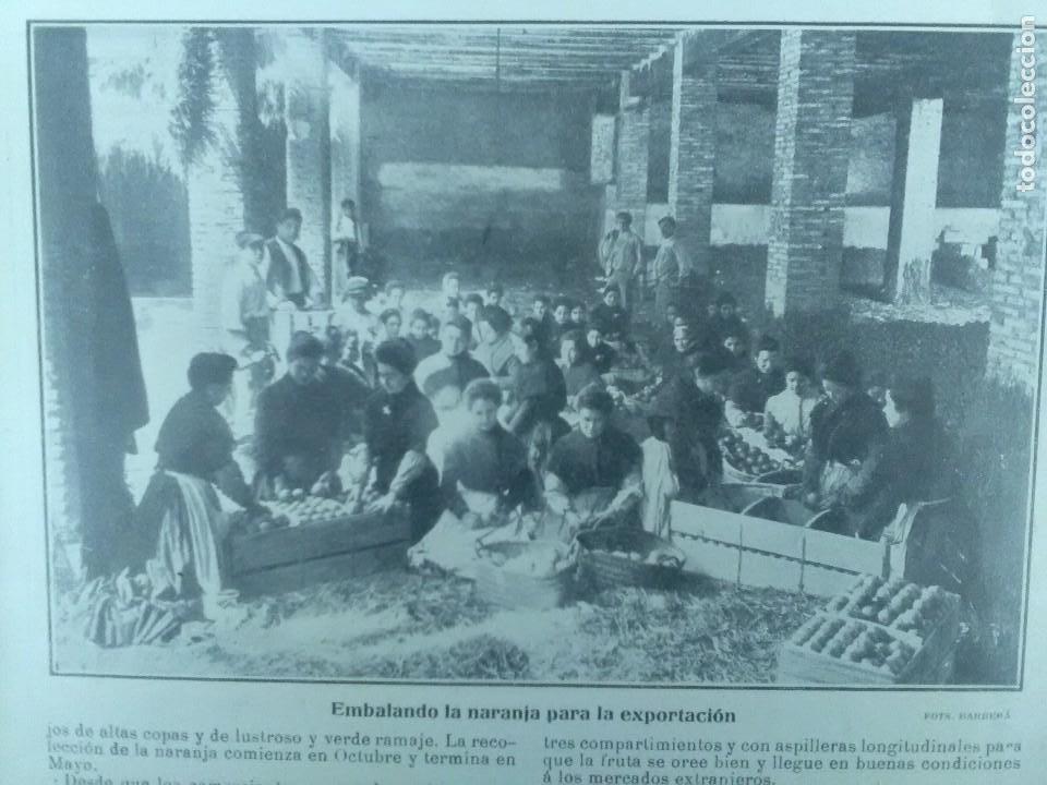 Collectionnisme de Revues et Journaux: LA RECOLECCION DE LA NARANJA VALENCIA EL TRIBUNAL DE LAS AGUAS MERIENDA REPUBLICANOS REVISTA 1905
