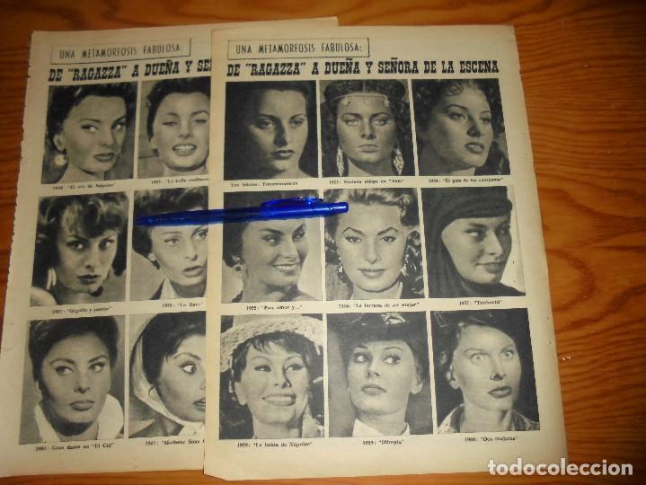 Collection Magazines and Newspapers: RECORTE DE PRENSA : SOFIA LOREN : DE RAGAZZA A DUE&Ntilde;A DE LA ESCENA. 7 FECHAS, JULIO 1962