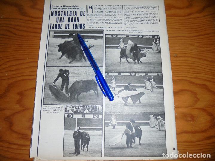 Coleccionismo de Revistas y Peri&oacute;dicos: RECORTE PRENSA : TORO EN LAS VENTAS : ANTONIO BIENVENIDA, LUIS MIGUEL DOMINGUIN. AMA, NOVBRE 1970