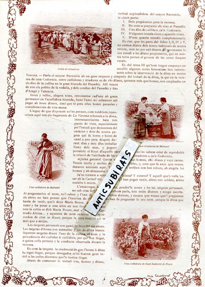 Coleccionismo de revistas y peri&oacute;dicos: REVISTA  MODERNISTA A&Ntilde;O 1911 LA VENDIMIA EN CODORNIU SANT SADURNI D' ANOIA NOYA VINO CAVA CHAMPAGNE