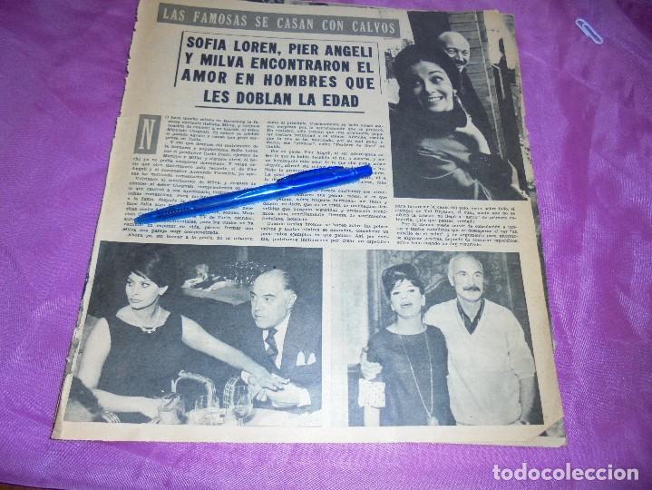 Coleccionismo de Revistas y Peri&oacute;dicos: RECORTE PRENSA : SOFIA LOREN, PIER ANGELI, MILVA, SE CASAN CON CALVOS. SABADO GRAFICO, JUNIO 1962