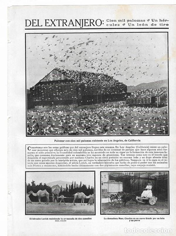 Collezionismo di Riviste e Giornali: 1910 HOJA REVISTA PALOMAR CON CIEN MIL PALOMAS CALIFORNIA - CIRCO PARISIEN H&Eacute;RCULES DOMADORA LE&Oacute;N