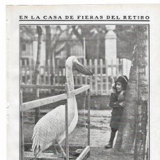 Coleccionismo de Revistas y Periódicos: 1911 HOJA REVISTA MADRID CASA DE FIERAS PARQUE DEL RETIRO NIÑA Y PELÍCANO