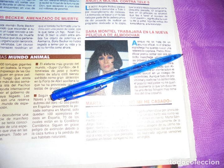 Coleccionismo de revistas y peri&oacute;dicos: RECORTE  PRENSA : SARA MONTIEL TRABAJARA EN UNA PELICULA DE ALMODOVAR. CLAN TV