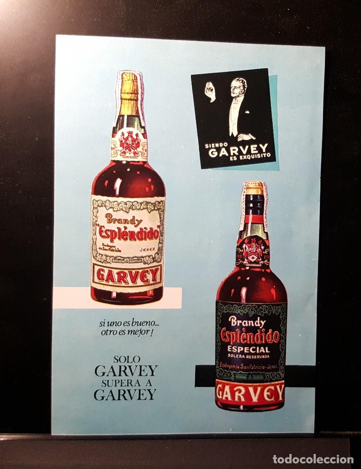 Coleccionismo de Revistas y Peri&oacute;dicos: Hoja Publicidad. Cara 1:Brandy Esplendido Garvey. Cara 2: Camisa Seidensticke. (READERS DIGEST 1965)