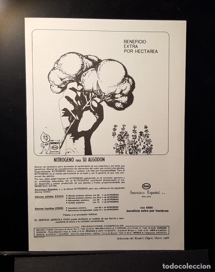 Coleccionismo de Revistas y Peri&oacute;dicos: Hoja Publicidad. Abonos Esso (Nitrogeno para su Algodon). (READERS DIGEST 1966)