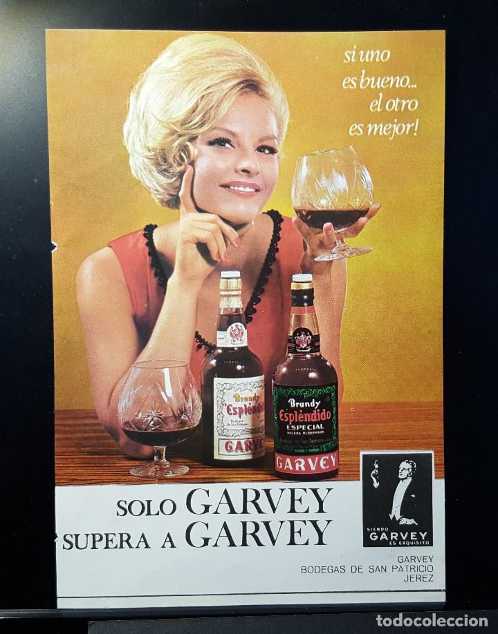 Coleccionismo de Revistas y Peri&oacute;dicos: Hoja Publicidad. Cara1: Brandy Esplendido Garvey. Cara : Te Hornimans (READERS DIGEST 1966)