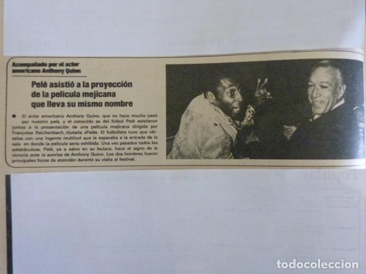Coleccionismo de Revistas y Peri&oacute;dicos: RECORTE REPORTAJE CLIPPING DE PEL&Eacute; REVISTA SEMANA N&ordm; 1946 PAG 18