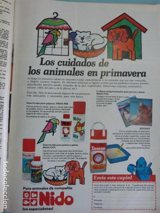 Coleccionismo de Revistas y Peri&oacute;dicos: RECORTE REPORTAJE CLIPPING DE NIDO COMIDA DE PAJAROS REVISTA SEMANA N&ordm; 1946 PAG 39