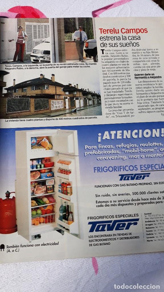Colecionismo de Revistas e Jornais: terelu campos
