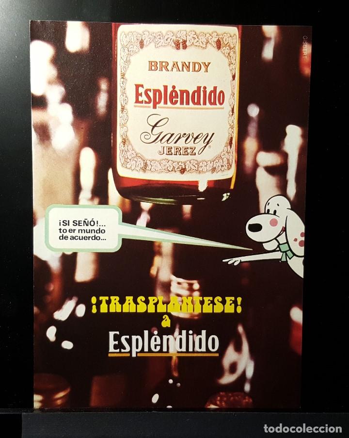 Coleccionismo de Revistas y Peri&oacute;dicos: Hoja Publicidad. Brandy Esplendido Garvey. Jerez. READERS DIGEST 1972)