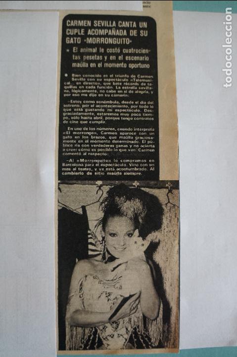 Coleccionismo de Revistas y Peri&oacute;dicos: RECORTE REPORTAJE CLIPPING DE CARMEN SEVILLA REVISTA SEMANA N&ordm; 1773 PAG. 57