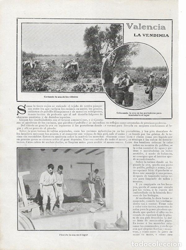 Coleccionismo de revistas y peri&oacute;dicos: 1906 HOJAS REVISTA VALENCIA LA VENDIMIA PORTADERAS LAGAR PRENSA CUBAS TRASIEGO DEL MOSTO