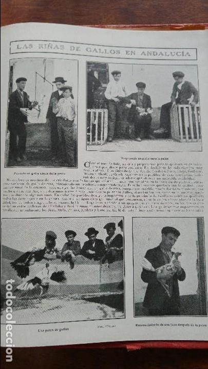 Collection Magazines and Newspapers: RI&Ntilde;A DE GALLOS EN ANDALUCIA PELEA SEVILLA GALLERO SR: SANCHEZ