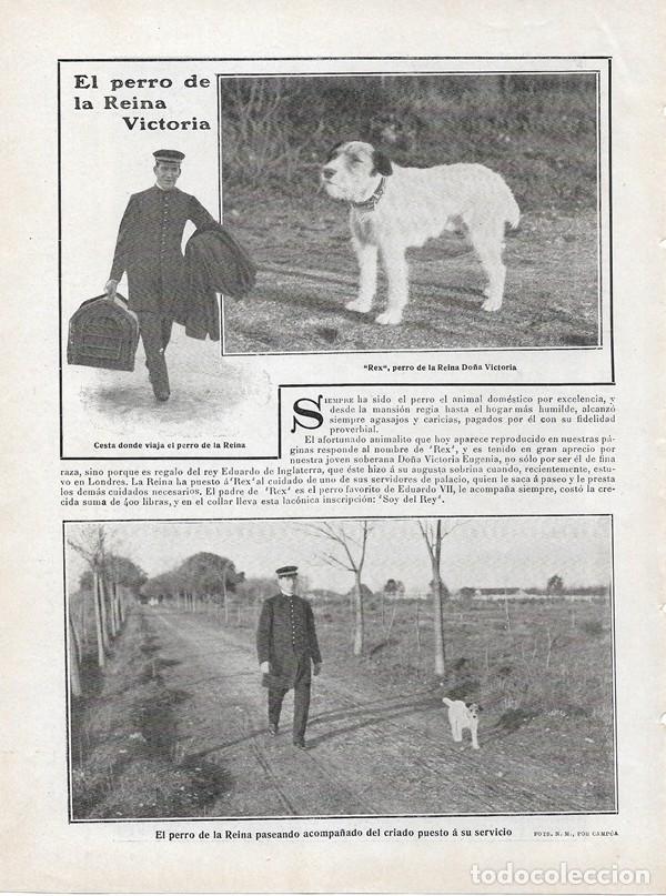 Collezionismo di Riviste e Giornali: 1908 HOJA REVISTA PERRO DE LA REINA VICTORIA REX REGALO REY EDUARDO DE INGLATERRA