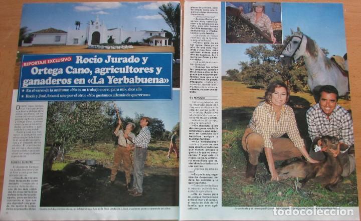 Coleccionismo de Revistas y Peri&oacute;dicos: RECORTE REVISTA SEMANA N&ordm; 3014 1997 ROCIO JURADO Y ORTEGA CANO AGRICULTORES EN LA YERBABUENA. 4 PGS