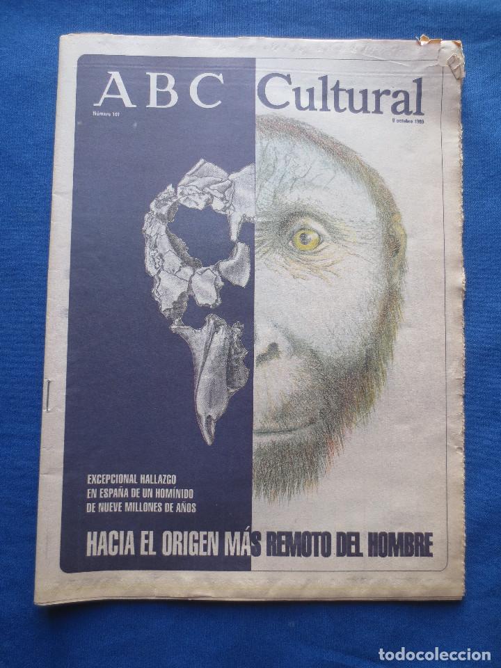 Coleccionismo de Revistas y Peri&oacute;dicos: ABC CULTURAL - N&Uacute;MERO 101 - 8 OCTUBRE 1993 - HALLAZGO DE UN HOM&Iacute;NIDO DE NUEVE MILLONES DE A&Ntilde;OS