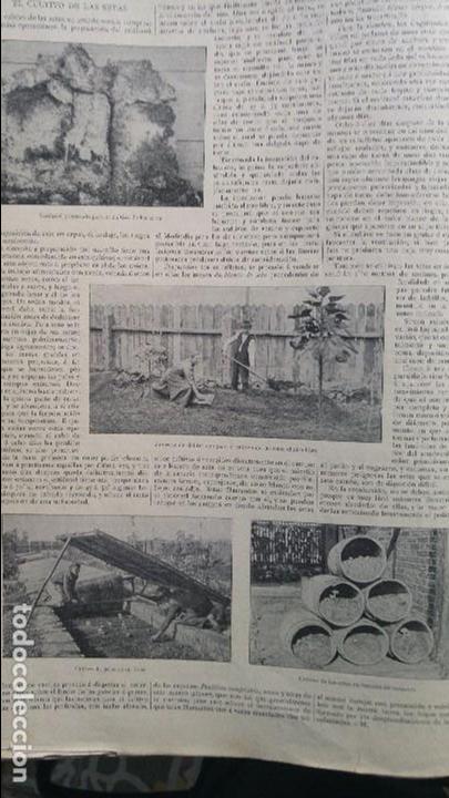 Collectionnisme de Revues et Journaux: EL CULTIVO DE SETAS LAMPARA VOTIVA TALLERES MASRIERA Y CAMPINS REVISTA A&Ntilde;O 1902