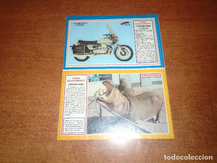 Coleccionismo de Revistas y Peri&oacute;dicos: RETAL PRENSA 1980: FICHAS COLECCIONABLES. HIPOP&Oacute;TAMO. MOTOCICLETA GUZZI V 1000 GS