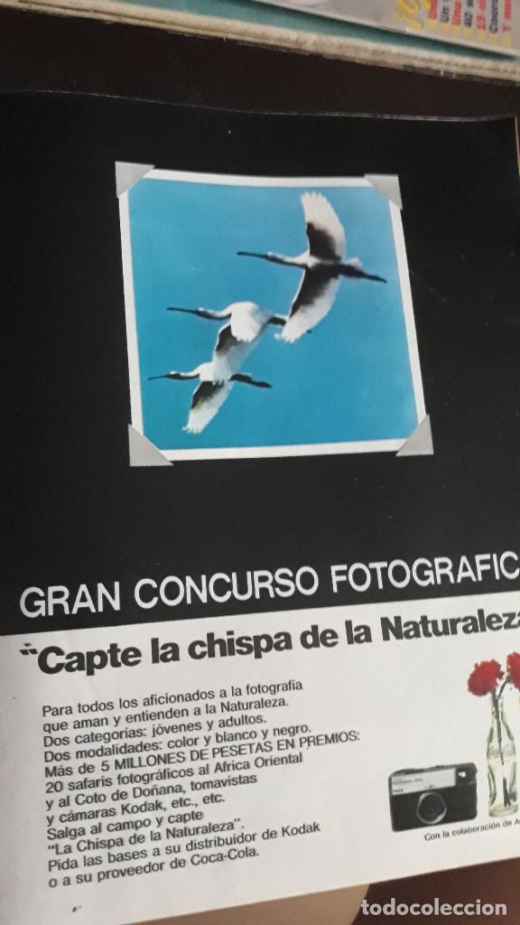 Colecionismo de Revistas e Jornais: ANUNCIO COCA COLA