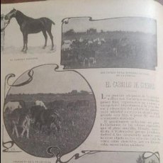 Coleccionismo de Revistas y Periódicos: EL CABALLO DE GUERRA LA REMONTA DE CORDOBA GRANDA EXTREMADURA POTROS 2 HOJAS AÑO 1903