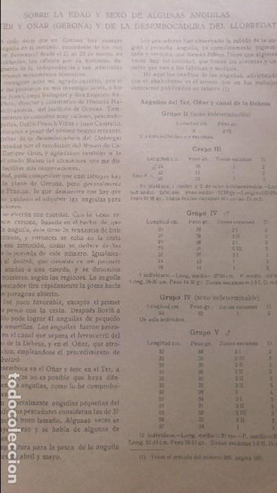 Collection Magazines and Newspapers: PESCA ANGUILAS RIO TER Y ONYAR DESEMBOCADURA LLOBREGAT BOTIRO CESTA GIRONA REVISTA A&Ntilde;O 1923