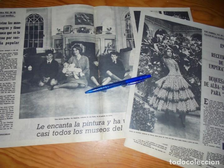 Coleccionismo de revistas y peri&oacute;dicos: RECORTE PRENSA : ENTREVISTA A LA DUQUESA DE ALBA . AMA, JUNIO 1960