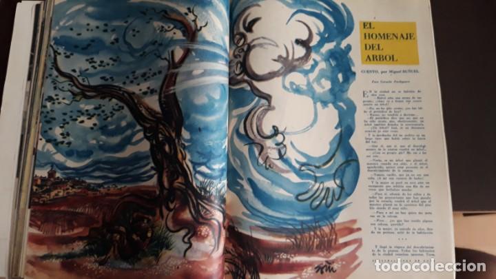 Sammeln von Zeitschriften und Zeitungen: 1961 CUENTO DE MIGUEL BU&Ntilde;UEL HOMENAJE AL ARBOL