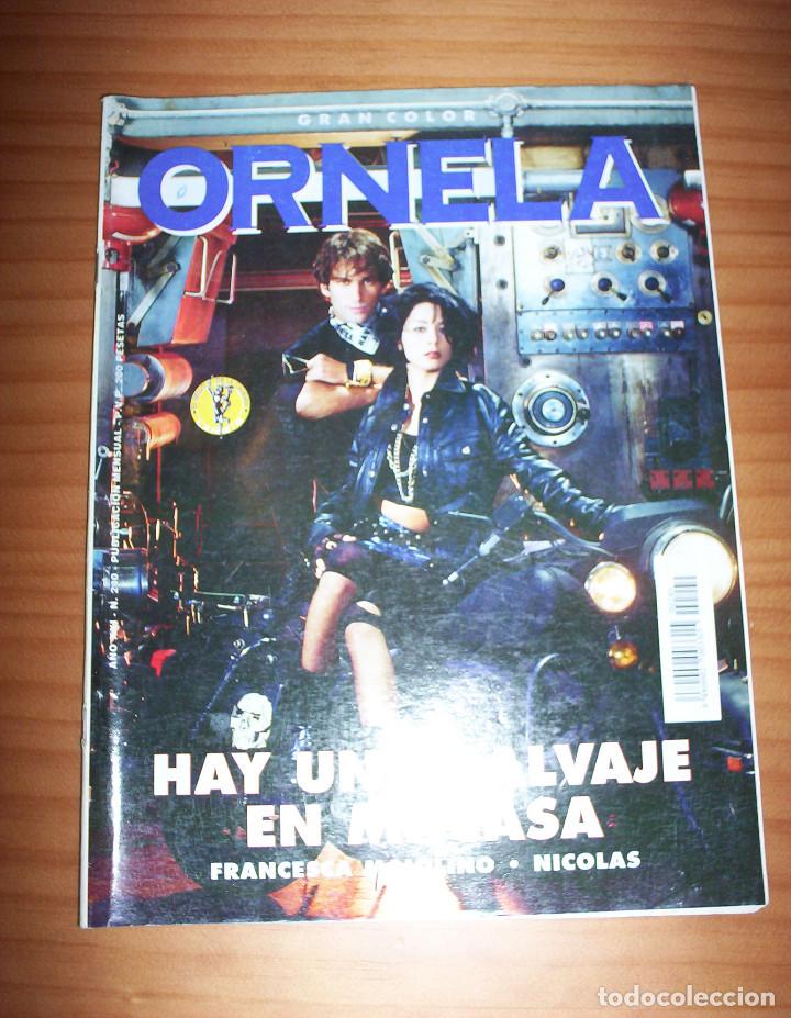 Colecionismo de Revistas e Jornais: ORNELA - N&Uacute;MERO 240: HAY UNA SALVAJE EN MI CASA - MUY BUEN ESTADO