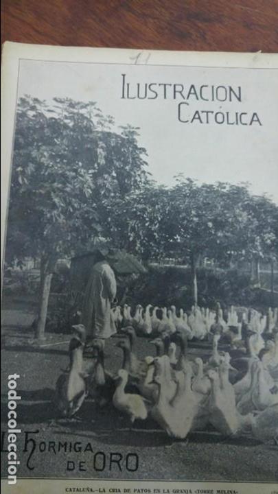 Collection Magazines and Newspapers: LA CRIA DE PATOS EN LA GRANJA DE TORRE MELINA CATALU&Ntilde;A HOJA A&Ntilde;O 1911