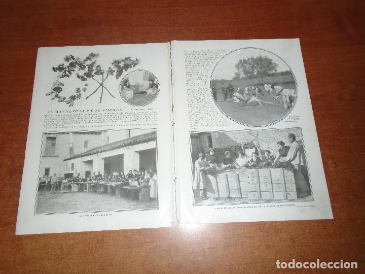 Collectionnisme de Revues et Journaux: RETAL PRENSA 1911 EL CULTIVO DE LA VID EN VALENCIA - DIBUJO DE MANCH&Oacute;N.