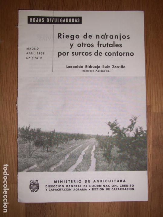 Colecionismo de Revistas e Jornais: RIDRUEJO, Leopoldo. Riego de naranjos y otros frutales por surcos de contorno (Hojas Divulgadoras