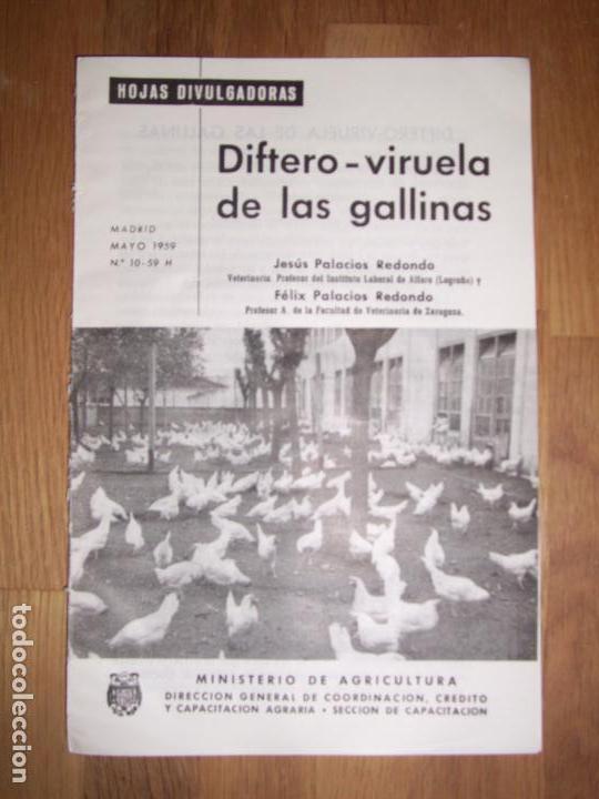Collectionnisme de Revues et Journaux: PALACIOS REDONDO, Jes&uacute;s. Diftero-viruela de las gallinas (Hojas Divulgadoras ; 1959 ; N&ordm; 10 - 59 H)