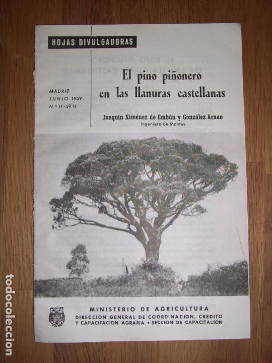 Sammeln von Zeitschriften und Zeitungen: XIM&Eacute;NEZ DE EMB&Uacute;N, Joaqu&iacute;n. El pino pi&ntilde;onero en las llanuras castellanas (Hojas Divulgadoras ; 1959