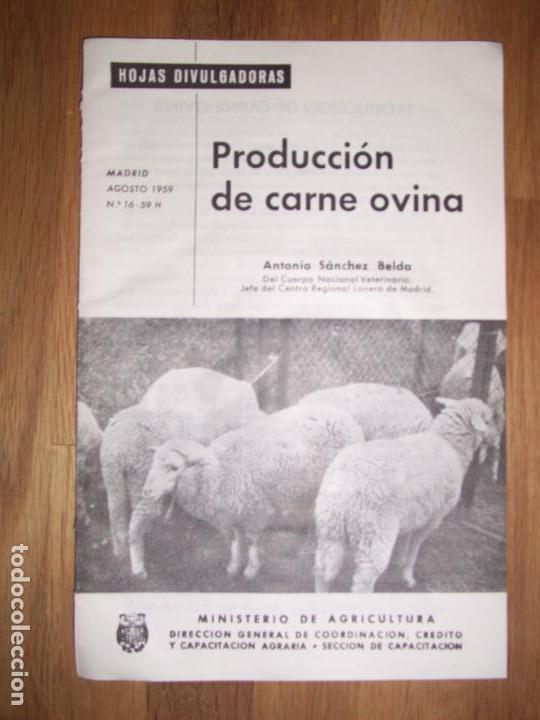 Colecionismo de Revistas e Jornais: S&Aacute;NCHEZ, Antonio. Producci&oacute;n de carne ovina (Hojas Divulgadoras ; 1959 ; N&ordm; 16 - 59 H)
