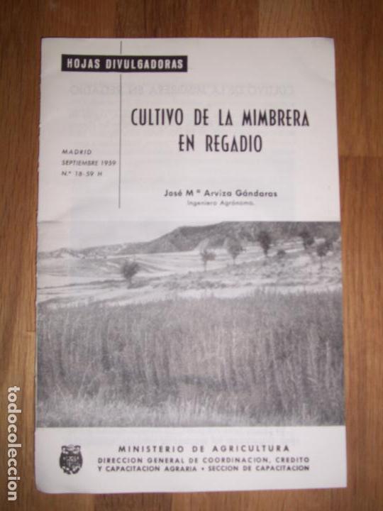 Colecionismo de Revistas e Jornais: ARVIZA, Jos&eacute; M&ordf;. Cultivo de la mimbrera en regad&iacute;o (Hojas Divulgadoras ; 1959 ; N&ordm; 18 - 59 H)